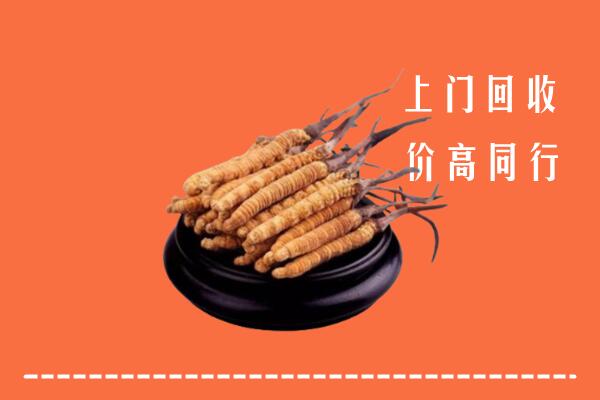 高价求购：九江彭泽县回收散虫草