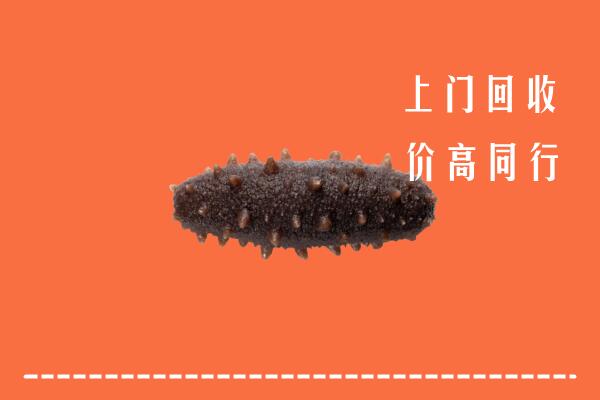 高价求购：九江彭泽县回收海参