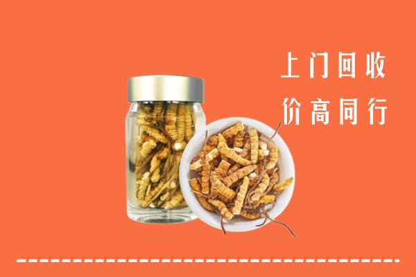 九江彭泽县回收冬虫夏草